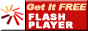 Download Flash Player FREE!